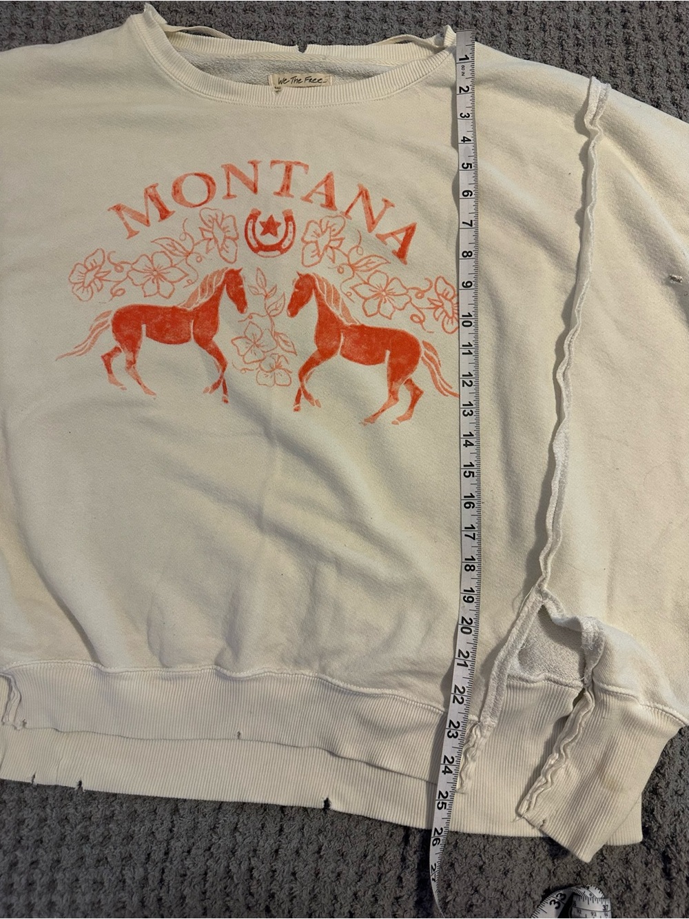 Free People Montana Graphic Sweatshirt Small *Note - Picture 5 of 8